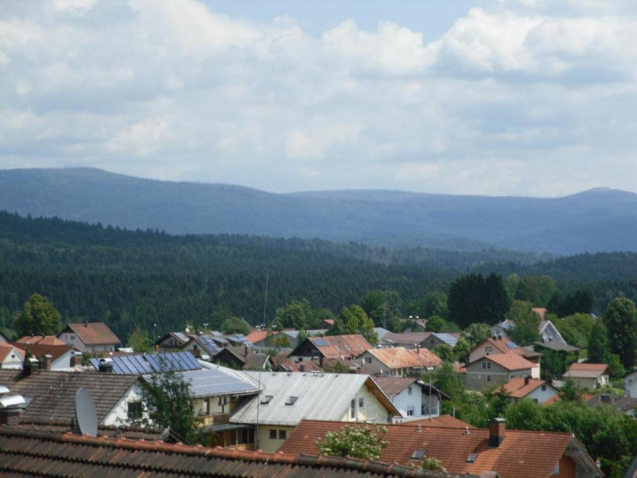 Ferienwohnung Nationalparkblick Spiegelau Bagian luar foto
